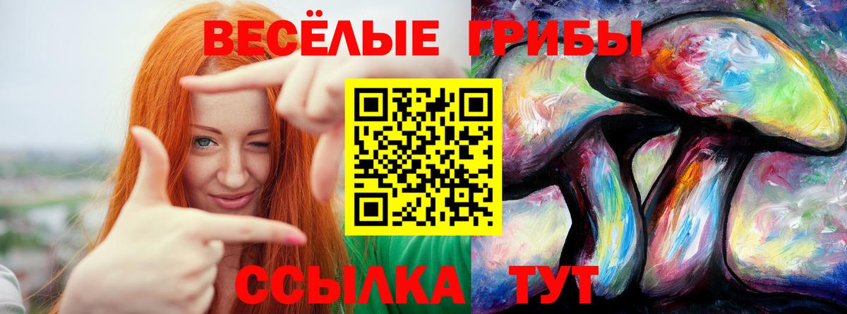 магазин    Галлюциногенные грибы Magic Shrooms  Анапа  Вход с VPN  Галлюциногенные грибы MAGIC MUSHROOMS 